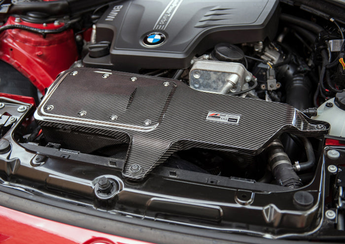 AWE Tuning BMW 228i/320i/328i/428i S-FLO Carbon Intake available at Damond Motorsports