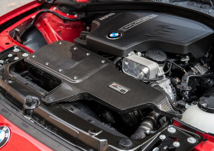 AWE Tuning BMW 228i/320i/328i/428i S-FLO Carbon Intake available at Damond Motorsports