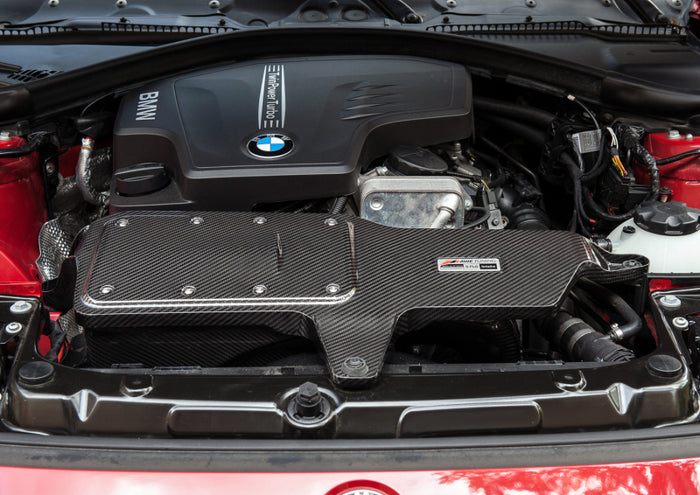 AWE Tuning BMW 228i/320i/328i/428i S-FLO Carbon Intake available at Damond Motorsports