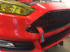 Damond Motorsports-Focus ST Tow Strap- at Damond Motorsports