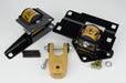 Damond Motorsports-Focus ST/RS Full Motor Mount Set-Gold-Black-Race at Damond Motorsports